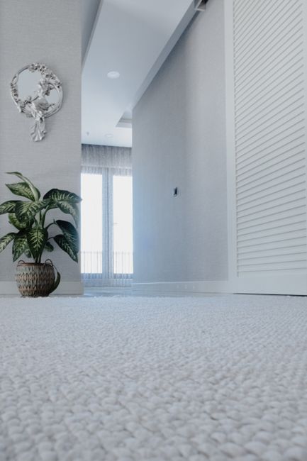 https://mayfaircarpetcleaning.org.uk/blog/compare-mayfair-domestic-vs-commercial-carpet-cleaning-rates/