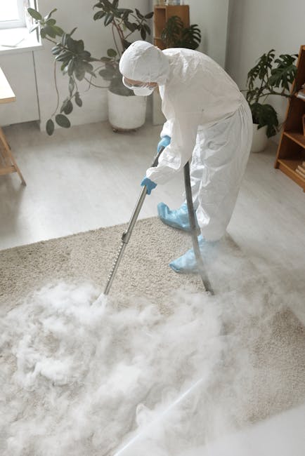A cleaning professional from Mayfair Carpet Cleaning wearing a white hazmat suit, gloves, and face mask is performing deep surface cleaning on a beige carpet in a well-lit living room. The worker is using a steam or extraction cleaning tool, which is emitting steam or cleaning solution, to sanitize and refresh the carpet's surface. The room features natural light coming through a large window, with decorative plants and wooden furniture visible in the background. The ceramic floor beneath the carpet and the overall cleanliness indicate thorough hygiene and maintenance, reflecting expert domestic or commercial cleaning practices by Mayfair Carpet Cleaning focused on surface cleaning and sanitisation.